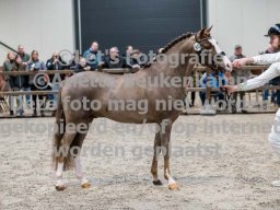 2024_02_24_CHK_Dronten